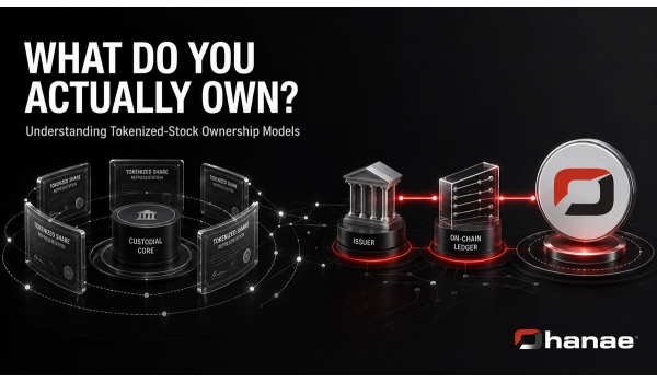 What Do You Actually Own? Understanding Tokenized-Stock Ownership Models